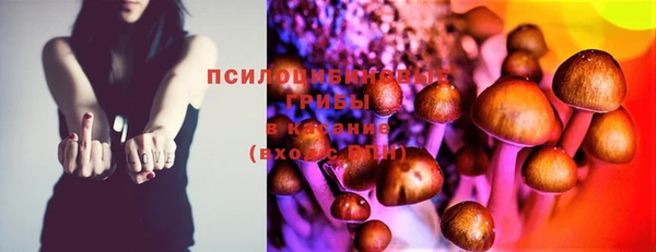 прущая мука Богородицк