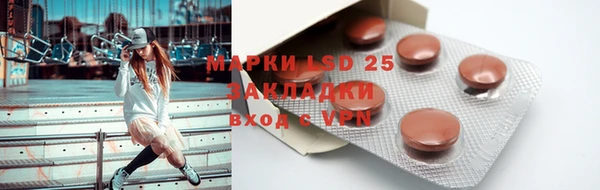 стафф Богданович