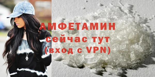 стафф Богданович