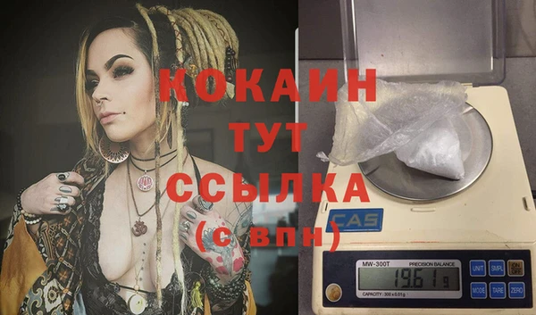 трава Слюдянка